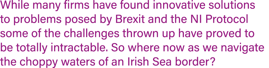 While many firms have found innovative solutions to problems posed by Brexit and the NI Protocol some of the challeng   