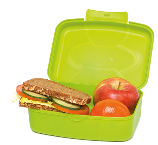 Healthy Green School Lunch Box, Isolated on White, with Whole-grain Bread and Fruit