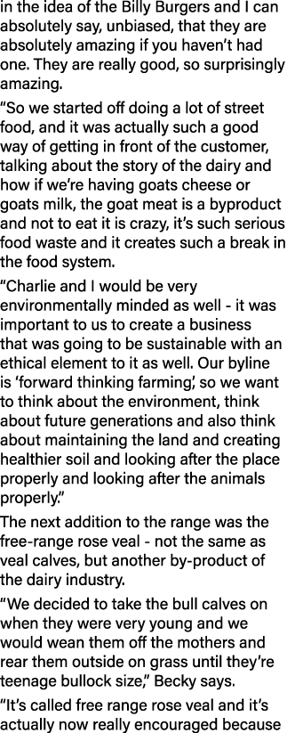 in the idea of the Billy Burgers and I can absolutely say, unbiased, that they are absolutely amazing if you haven t    