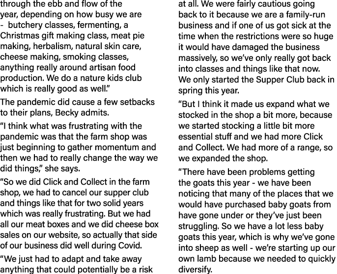 through the ebb and flow of the year, depending on how busy we are -  butchery classes, fermenting, a Christmas gift    