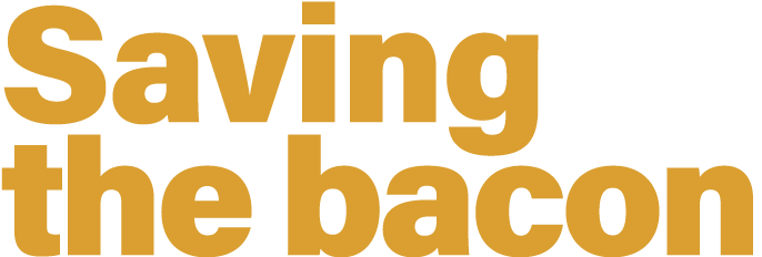 Saving the bacon