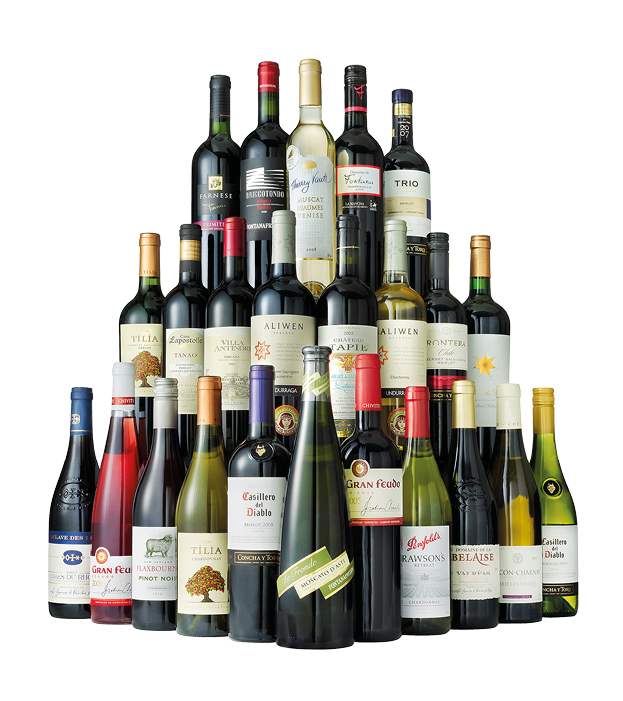 Netherlands, Haarlem - 19-05-2019: Wine bottles set with label, isolated on white background 