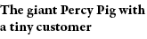 The giant Percy Pig with a tiny customer