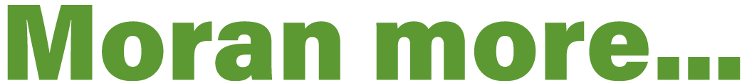 Moran more   