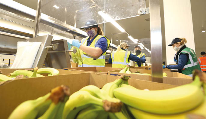 For the attention of Dominic Coyle  Fyffes new facility in Balbriggan  additional shots 