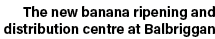 The new banana ripening and distribution centre at Balbriggan