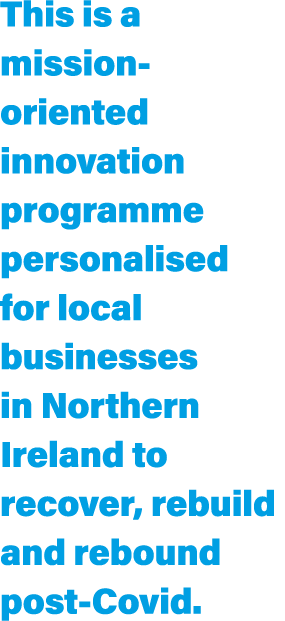 This is a mission-oriented innovation programme personalised for local businesses in Northern Ireland to recover, reb   