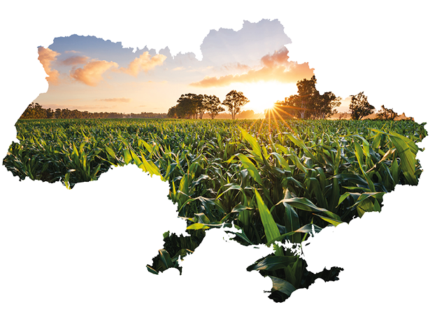 Conceptual image of Ukraine's map, global food crisis caused by Russia's invasion