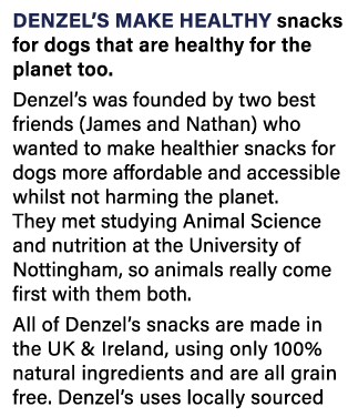 Denzel s make healthy snacks for dogs that are healthy for the planet too  Denzel s was founded by two best friends (   