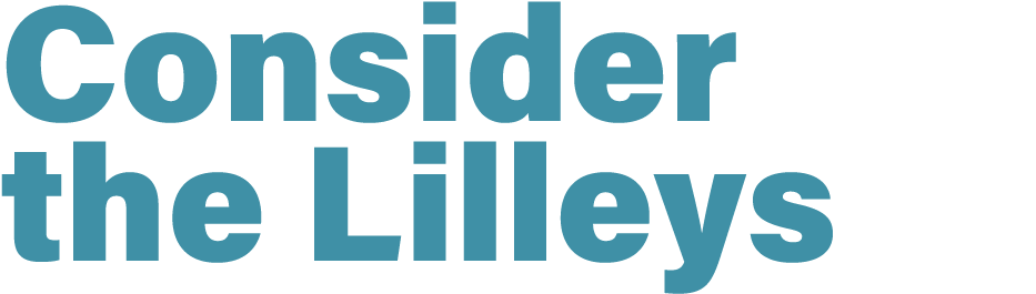 Consider the Lilleys