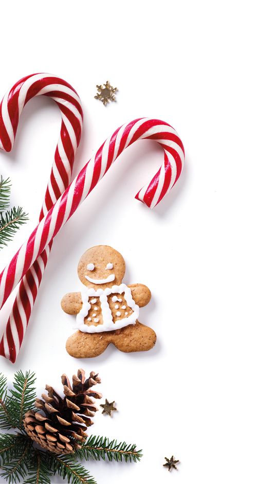 Christmas holiday Decoration element; Christmas  border with fir tree branches and Christmas ornament on white background  Flat lay, top view 