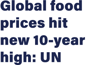 Global food prices hit new 10-year high: UN