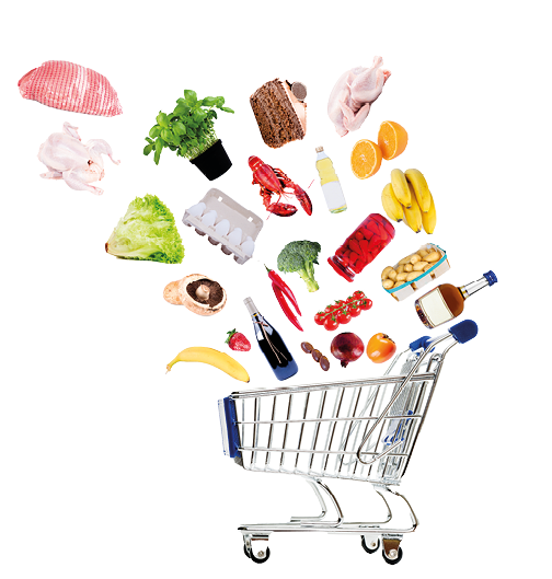 Shopping cart with grocery goods isolated on white