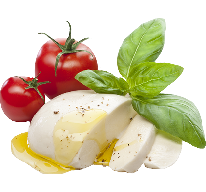 Mozzarella with tomatos and basil leaves isolated