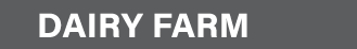 DAIRY FARM