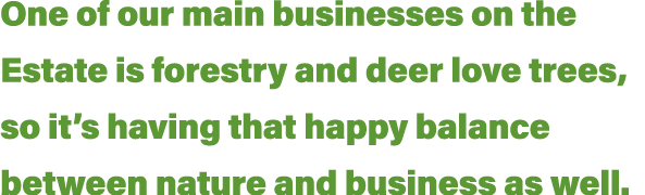 One of our main businesses on the Estate is forestry and deer love trees, so it’s having that happy balance between n...