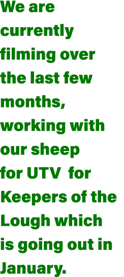 We are currently filming over the last few months, working with our sheep for UTV for Keepers of the Lough which is g   