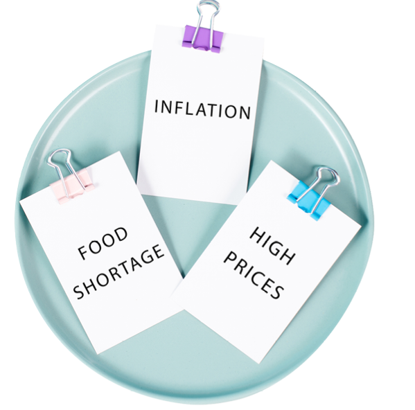 Plate with messages on paper, inflation, food shortage and high prices, increasing living expenses and poverty, financial crisis 