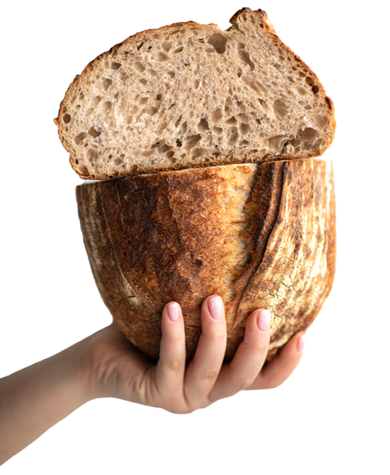 bread cut into 2 halves is held by a girl on a white background