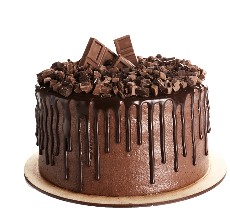 Tasty chocolate cake isolated on white