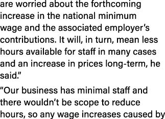 are worried about the forthcoming increase in the national minimum wage and the associated employer s contributions     