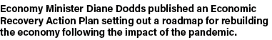 Economy Minister Diane Dodds published an Economic Recovery Action Plan setting out a roadmap for rebuilding the econ   