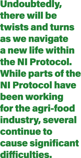 Undoubtedly, there will be twists and turns as we navigate a new life within the NI Protocol  While parts of the NI P   