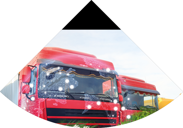 Collage with trucks, world globe, vegetables and herbs  Wholesale concept