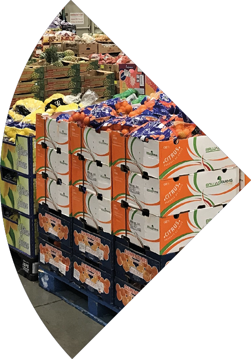 FOLSOM, CALIFORNIA, USA - OCT 3, 2017: Costco wholesale warehouse shopping aisle for fruits a members only club 