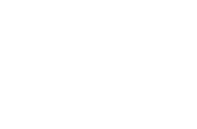 Food Force Ireland Weathers the Storm 