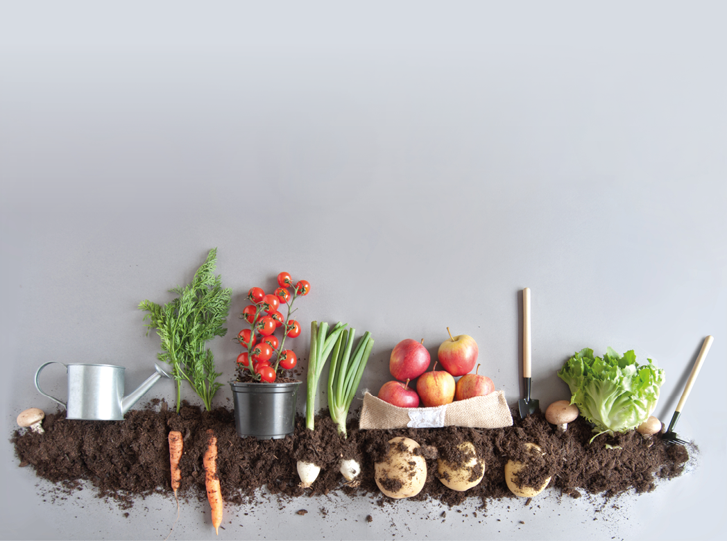 Organic fruits and vegetables growing in compost