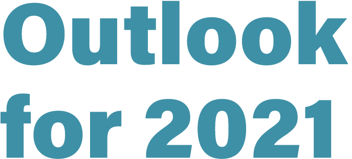 Outlook for 2021 