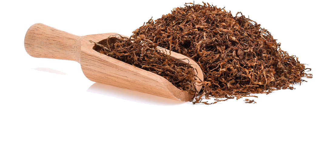 Dried tobacco isolated on white background