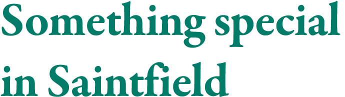 Something special in Saintfield