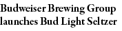 Budweiser Brewing Group launches Bud Light Seltzer