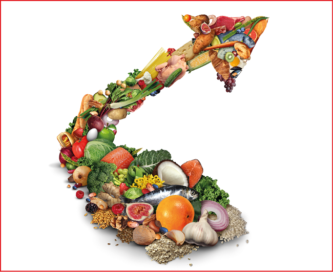 Food Price inflation and rising foods cost or grocery prices surging costs of supermarket groceries as an inflation financial crisis concept with a finance graph arrow.