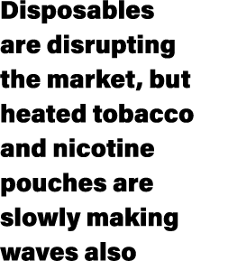 Disposables are disrupting the market, but heated tobacco and nicotine pouches are slowly making waves also