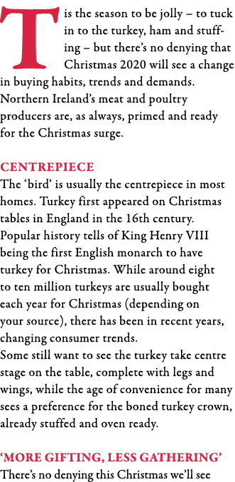 Tis the season to be jolly   to tuck in to the turkey, ham and stuffing   but there s no denying that Christmas 2020    