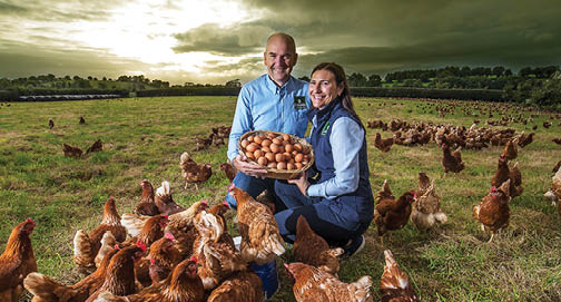 Cavanagh Eggs  picture by John McVitty - 07771987378 - 