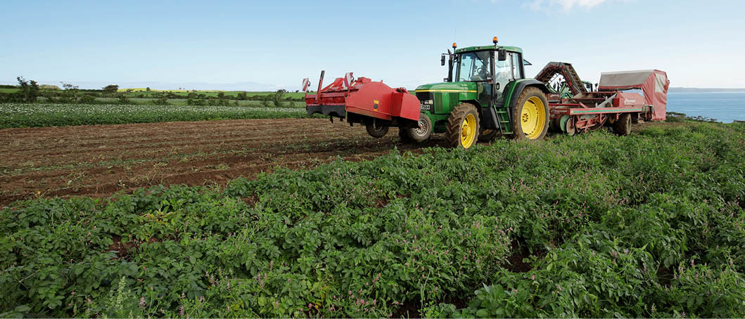 Harvesting new season Home Guard potatoes on Adrian and Nigel Jamisons farm near Ballycastle. Picture: Cliff Donaldson