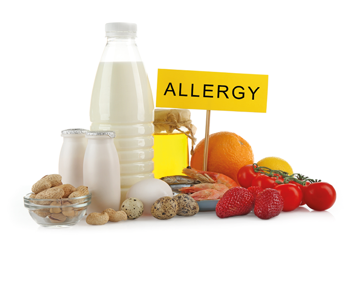 Set of allergic food isolated on white