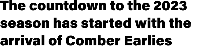 The countdown to the 2023 season has started with the arrival of Comber Earlies