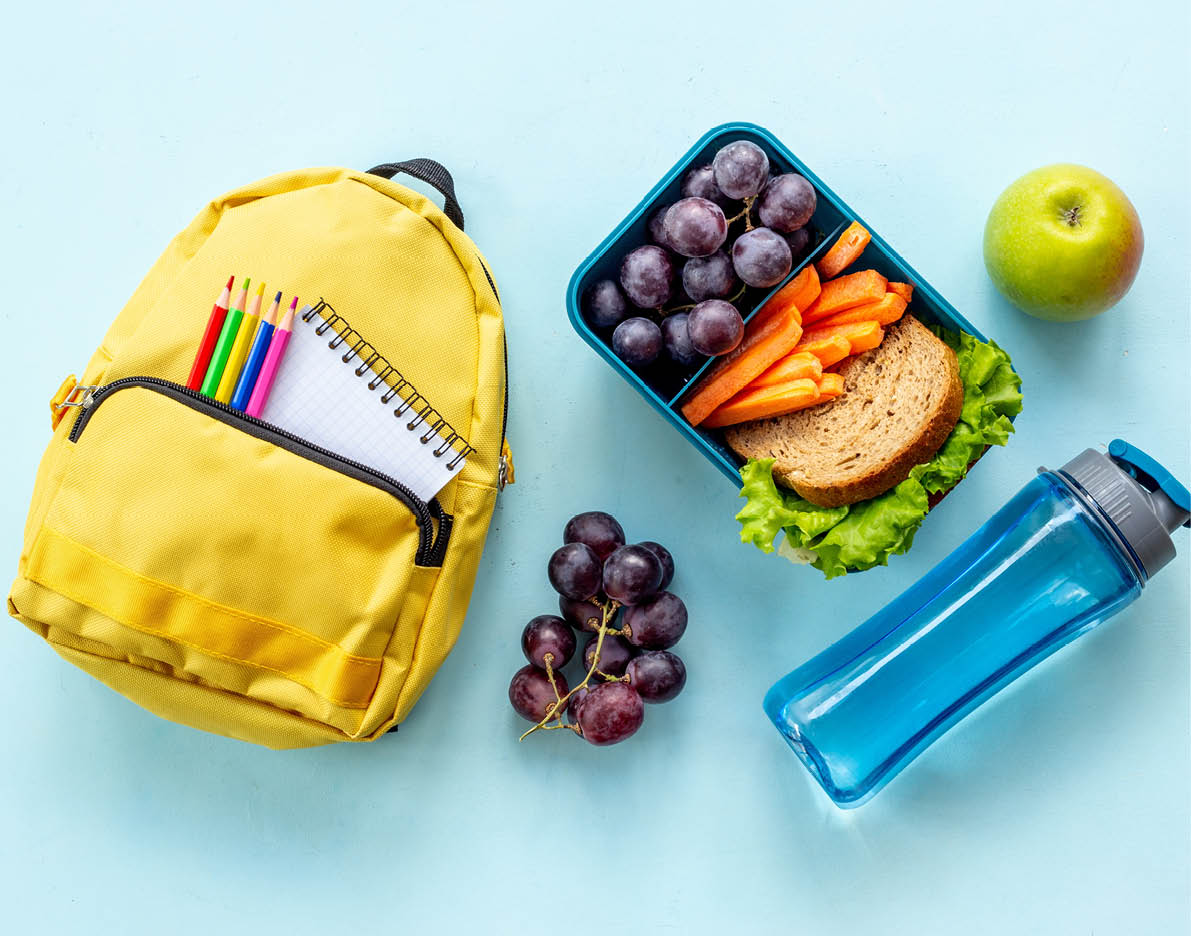 School lunch box with sandwich, fruits and water.