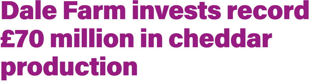 Dale Farm invests record £70 million in cheddar production