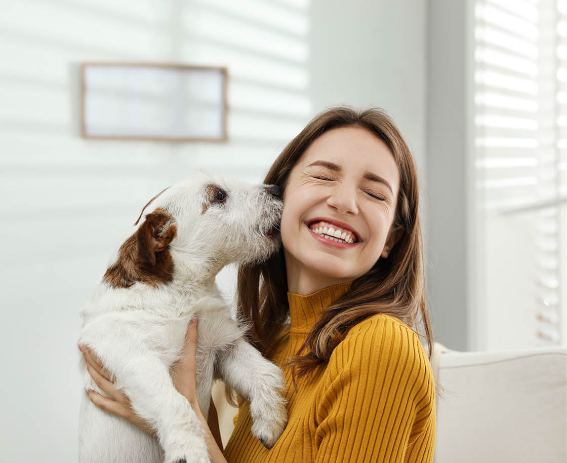 Young woman with her cute Jack Russell Terrier at home. Lovely pet