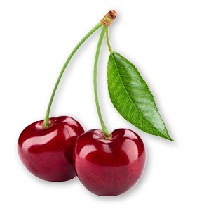 Cherry isolated. Cherry on white. Cherries. With clipping path.