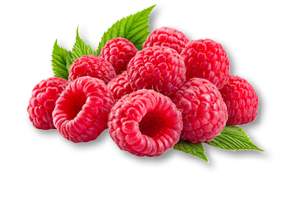 Raspberry isolated. Red raspberries with green leaf isolate. Raspberry with leaves isolated on white. Full depth of field.