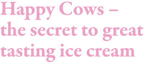 Happy Cows   the secret to great tasting ice cream