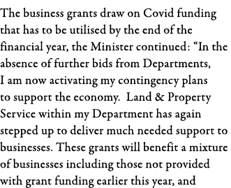 The business grants draw on Covid funding that has to be utilised by the end of the financial year, the Minister cont   