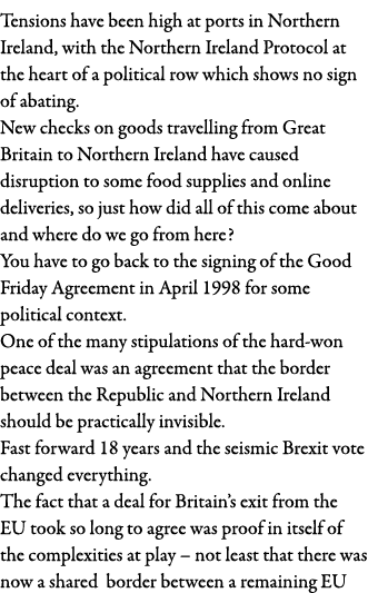 Tensions have been high at ports in Northern Ireland, with the Northern Ireland Protocol at the heart of a political    
